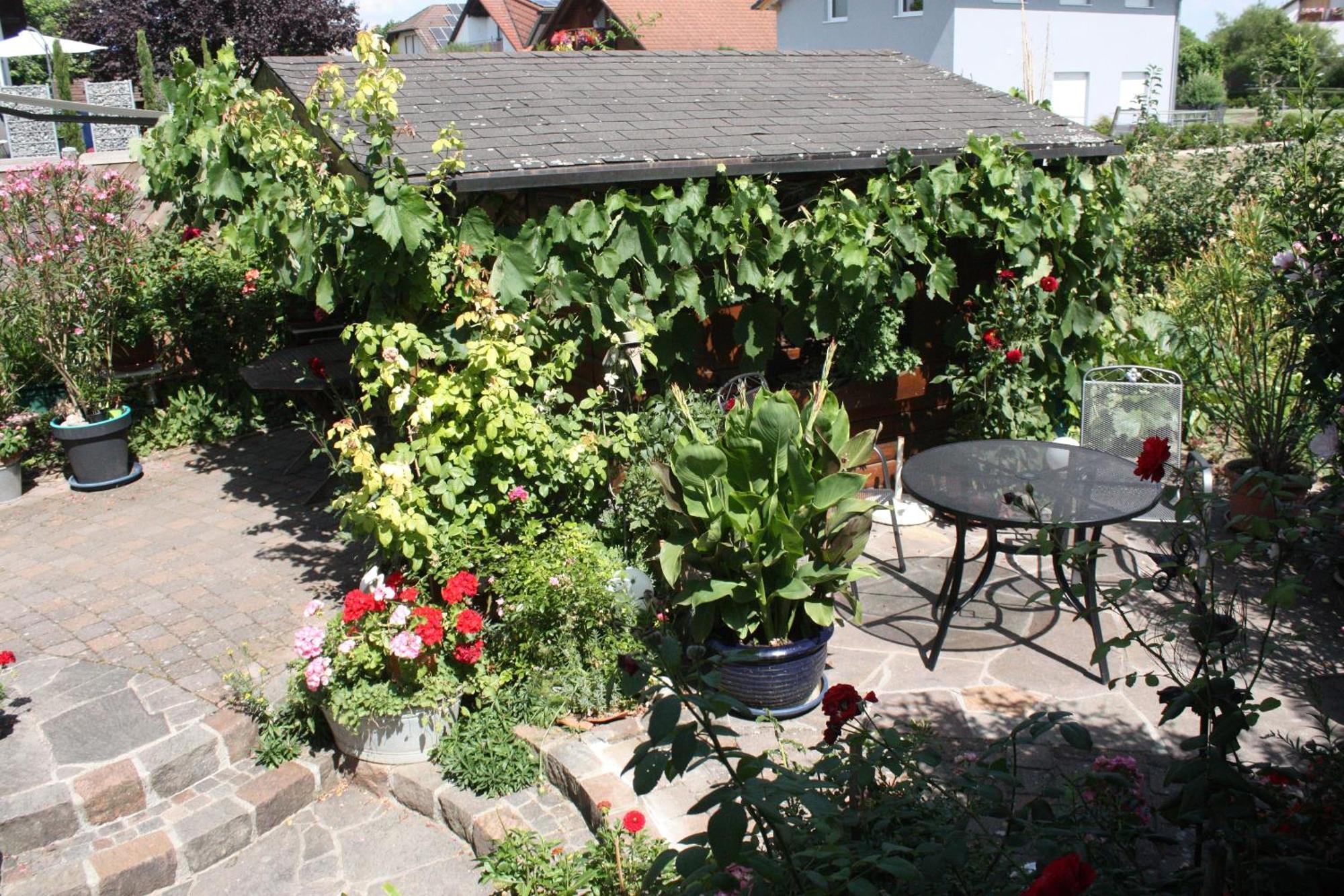 Ferienwohnung Burger Sasbach am Kaiserstuhl Exterior photo