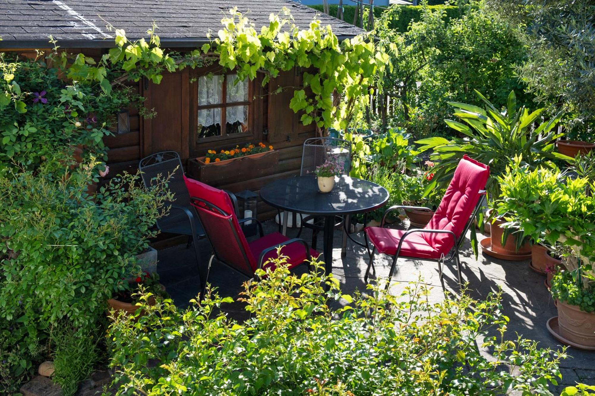 Ferienwohnung Burger Sasbach am Kaiserstuhl Exterior photo